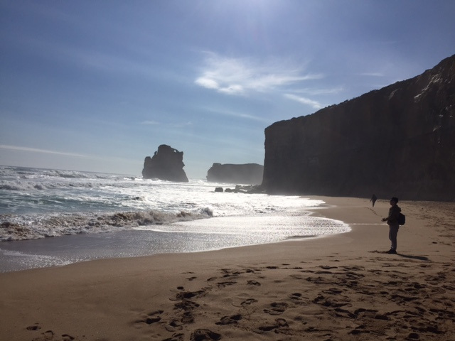 a group of people on a beach