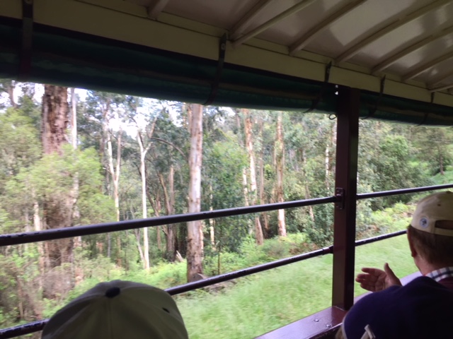 a person standing in front of a window