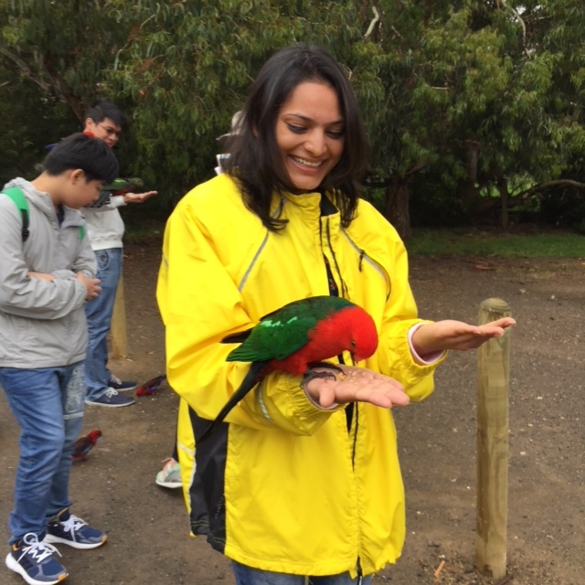 a young boy standing in front of a fruit