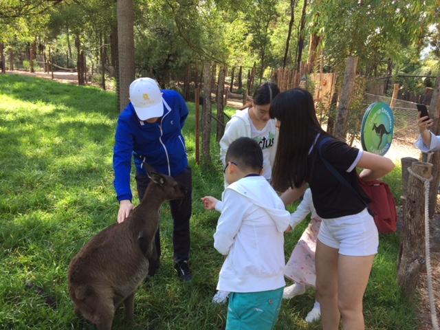 a person holding a baby in a park