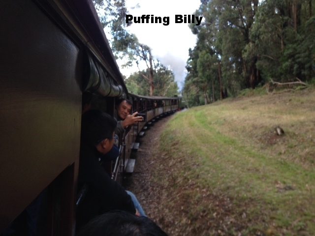 a person that is sitting in the grass