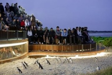 a group of people standing in front of a crowd